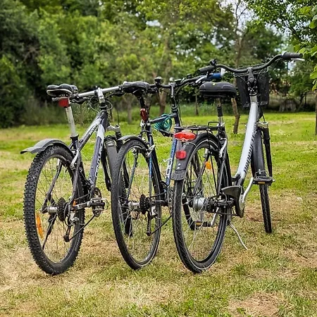 - Erholung Am Thermalbad Und Plattensee