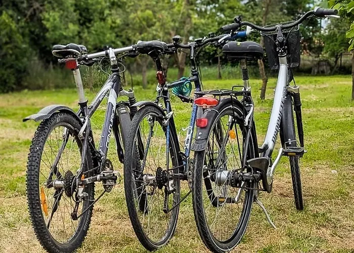 - Erholung Am Thermalbad Und Plattensee